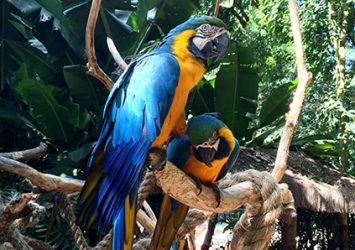 foz-de-iguazu-magri-turismo-2